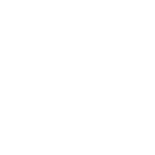 IATA (2)